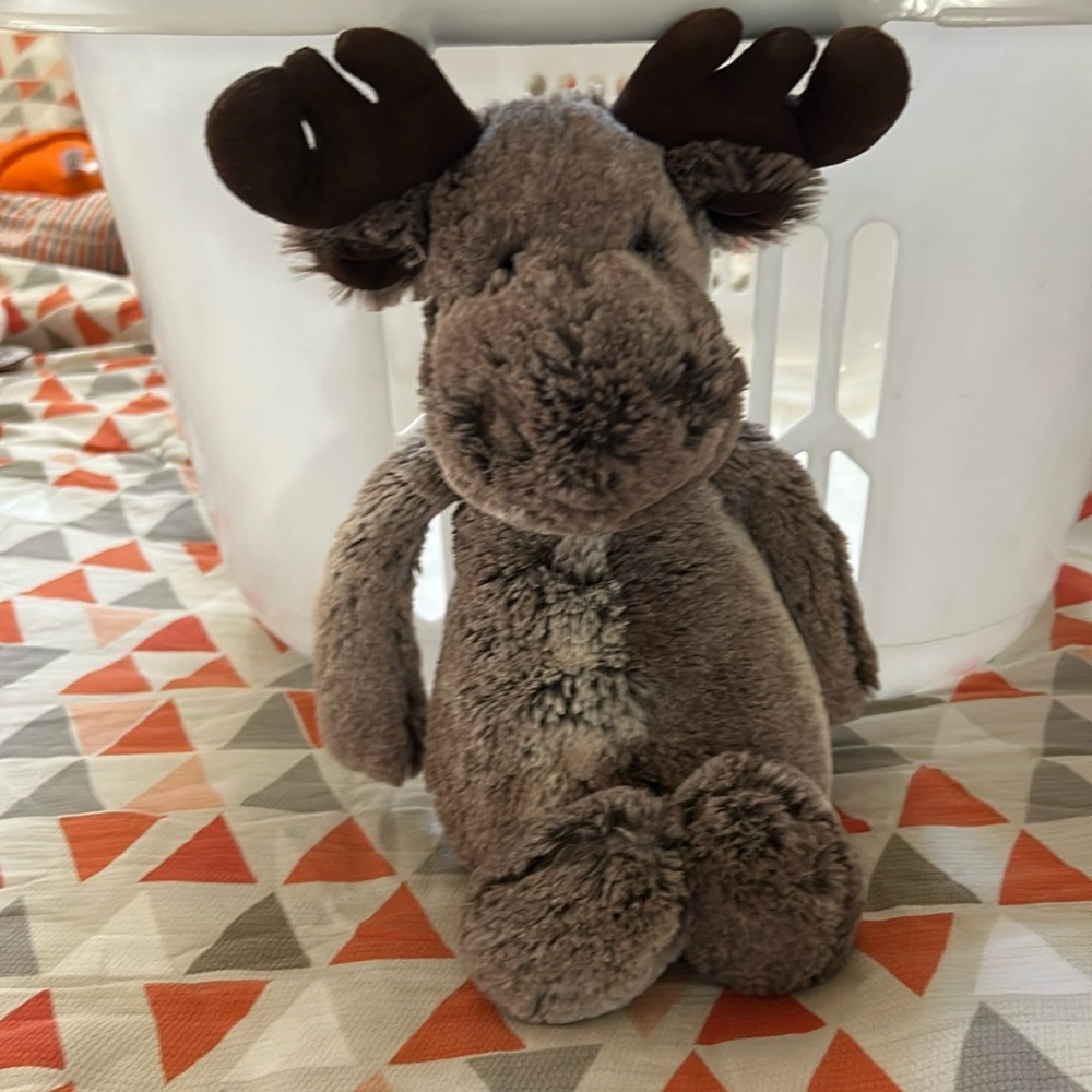 Jelly cat Moose